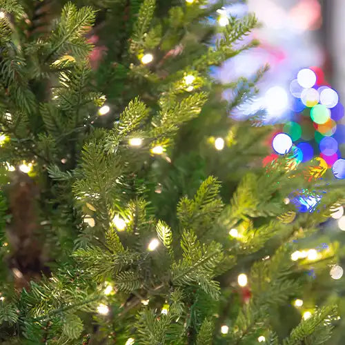 Indoor Christmas Lights