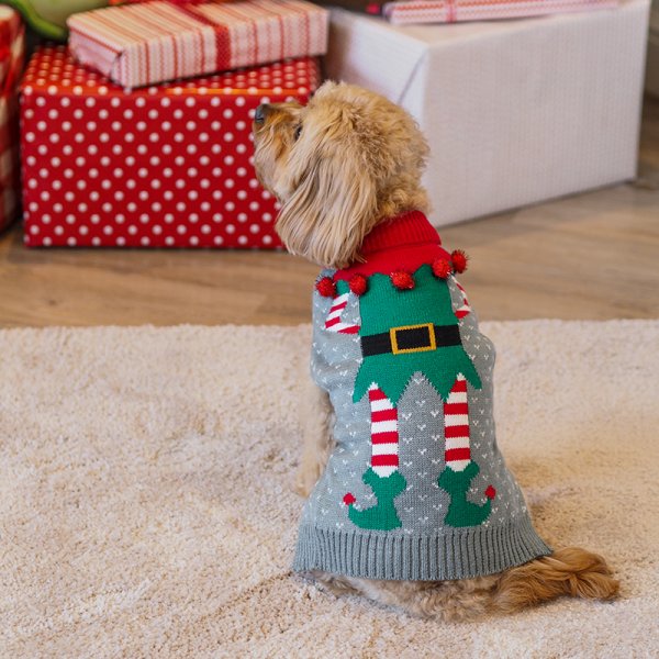 Festive Dog Jumper - Tree Magic Design