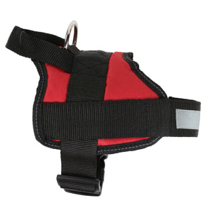 Regatta Reflective Dog Harness - Red - Towsure